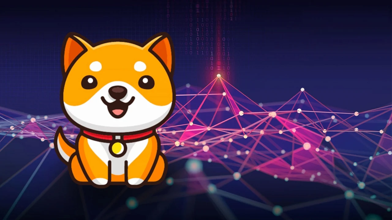 Baby Doge Testnet için Son Hazırlıklar