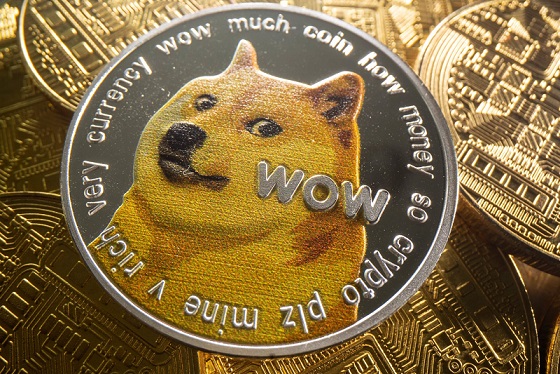 Analistten Dogecoin Ve Musk Yorumu