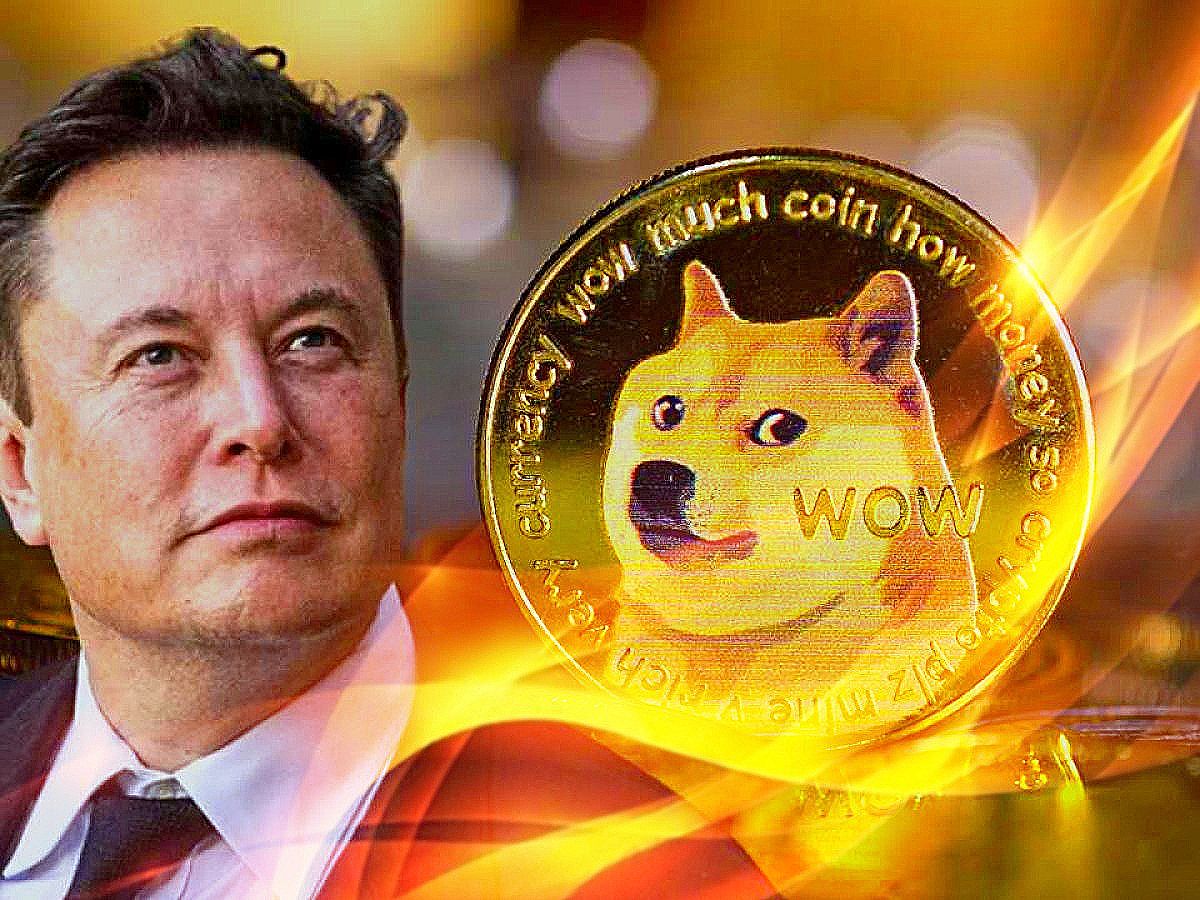 Elon Musk’a Açılan Dogecoin Davası Genişliyor!