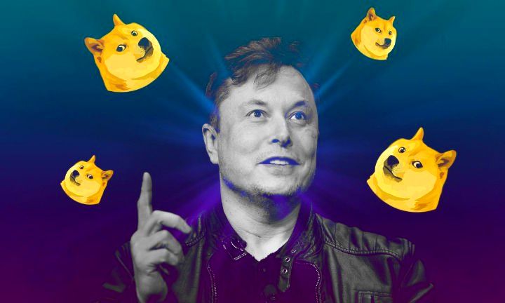 Elon Musk, Balinaların Odağının Yine Dogecoin’e Çevrilmesini Sağladı!